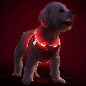 Red XS Pet Cat / Dog Light Up Harness